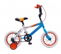 BICICLETA R12